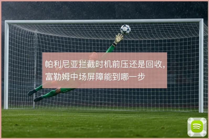 帕利尼亚拦截时机前压还是回收,富勒姆中场屏障能到哪一步