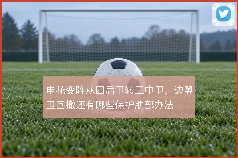 申花变阵从四后卫转三中卫，边翼卫回撤还有哪些保护肋部办法